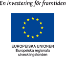 Manages project supported by the European Union